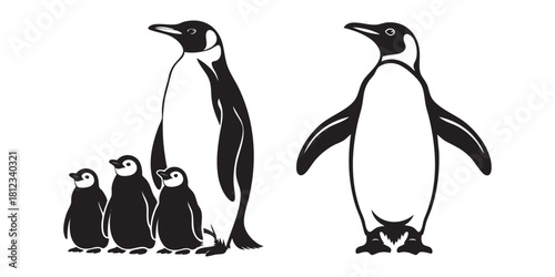 penguin on the beach