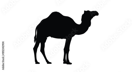 Abstract geometric composition with dynamic lines and shapes in a striking silhouette