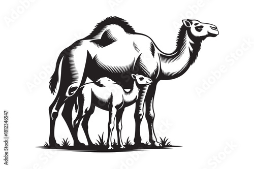 Mother camel nurturing her young calf in a stylized illustration