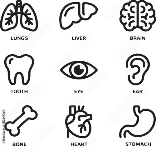 Nine black and white human organ icons with labels lungs liver brain tooth eye ear bone heart