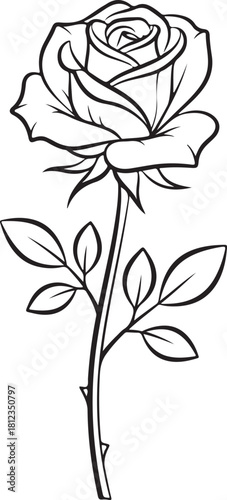 Rose Flower Illustration Isolated on Transparent Background