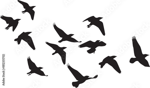 Flock of black birds silhouettes flying in a sky pattern