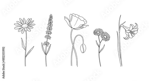 Smiling young woman stands outdoors with colorful umbrella on a bright day