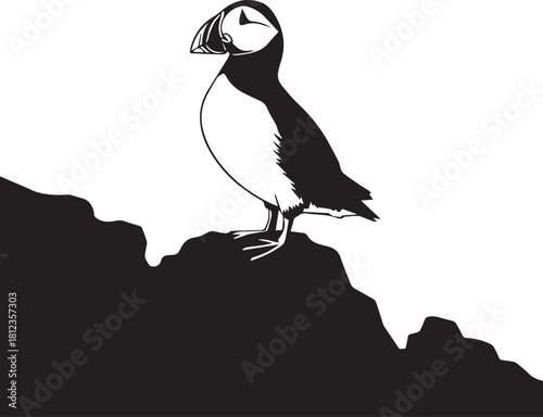 Atlantic puffin perched on rocky cliff edge observing the ocean seabird wildlife