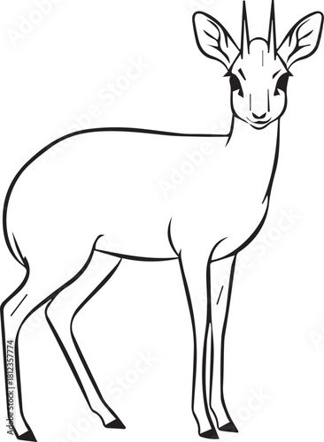 Simple outline drawing of a dik-dik antelope standing gracefully and looking forward