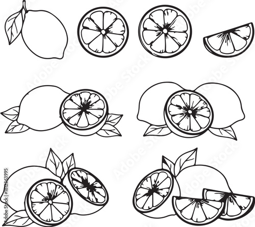 Hand Drawn Lemon Illustrations With Leaves And Slices On White Background Keywords: lemon, citrus, fruit, illustration, drawing, sketch, outline, line art, fresh, also transparent background