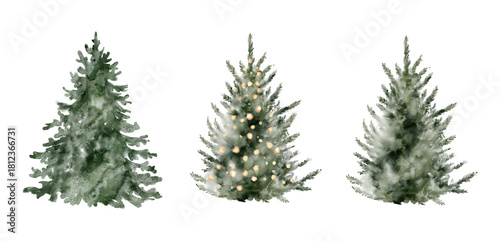 Watercolor set of a Christmas trees. Cozy winter design. Hand painted element for invitation, social media and posters.
