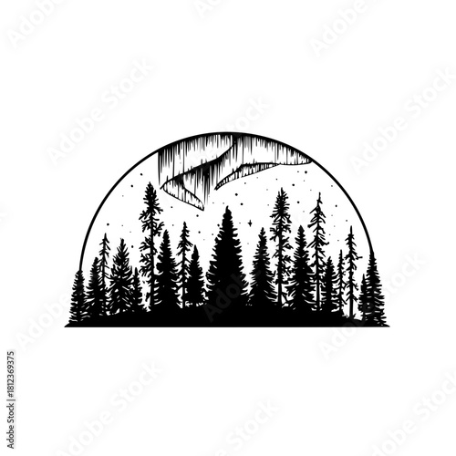 Northern lights over forest isolated on