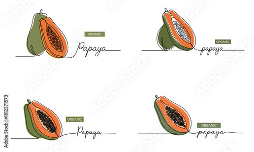 Fresh papaya fruit illustration with sliced tropical pieces
