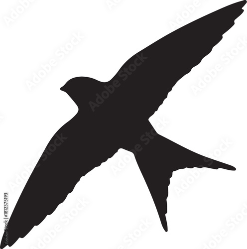 Black Silhouette of a Swift Bird in Flight with Wings Extended and Tail Forked Keywords: bird, swift, swallow, flying, flight, silhouette, black, wings, tail, also transparent background