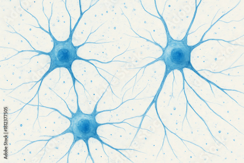 Digital illustration of microscopic neurons showing cell body dendrites and axon in human brain structure