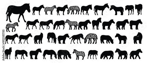 Zebra silhouette set