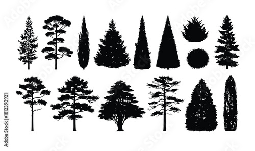Silhouetted tree collection diverse evergreen and deciduous tree vector illustrations