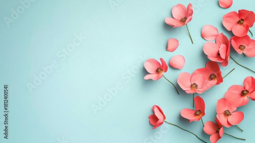 Pastel Pink Poppies on Blue Background, Floral Design, Spring Blooms Floral arrangement, Spring flowers