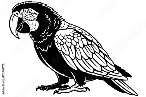 Black and white vector illustration of a macaw parrot standing in profile view