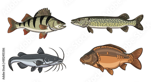 Collection of four distinct freshwater fish species commonly found in lakes and rivers.