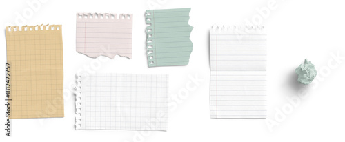 Torn Notepad Pages and Crumpled Paper