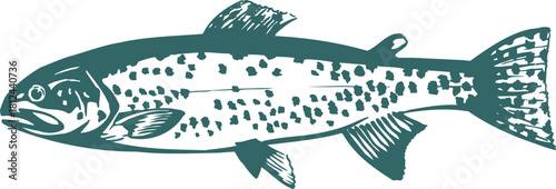 vector illustration of a fish