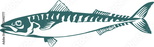 fish vector illustration