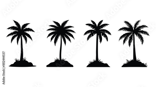 palm trees silhouettes