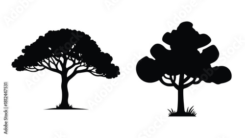 tree silhouette vector