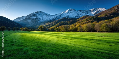 Scenic green valley with mountains under a clear blue sky at sunrise