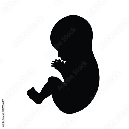 A black silhouette of a fetus in a curled protective position