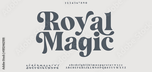 Lettering Fashion Designs. Modern elegant alphabet letters font and number. Minimalist typography fonts regular, typeface uppercase and lowercase.