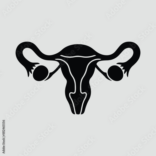 Silhouette female reproductive system anatomy medical diagram vector illustration