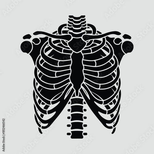 Silhouette human ribcage with bones anatomy minimalist style vector illustration