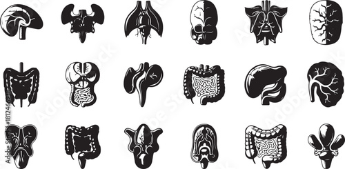 Collection of Black and White Human Organ Icons for Medical and Science Use