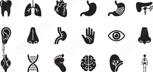 Collection of Human Anatomy Icons: Organs, Body Parts, and DNA