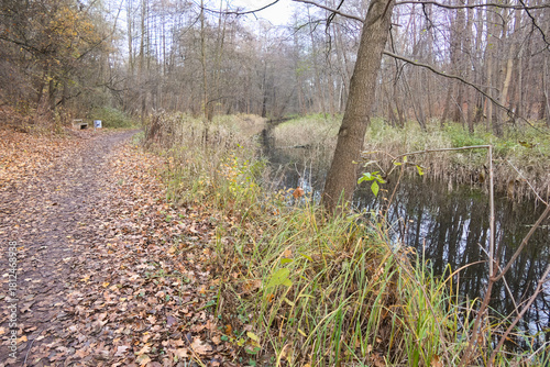 Cybina River Valley, a protected area with lush vegetation and hills, with an autumn view covered with fallen leaves