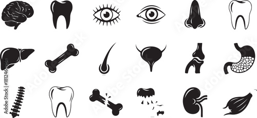 Collection of Human Anatomy Icons: Organs, Bones, and Senses