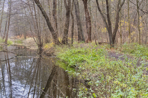 Cybina River Valley, a protected area with lush vegetation and hills, with an autumn view covered with fallen leaves