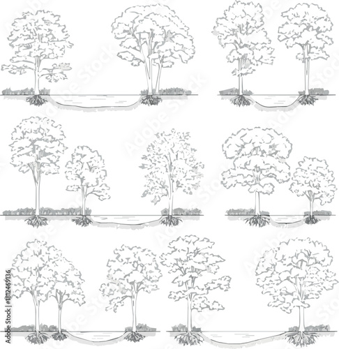 Create Architectural Drawings, Minimal style cad tree line drawing, Side view, set of section wetland forest outline for landscape design drawing. Vector illustration in seperate element on white