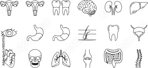 Collection of Medical and Anatomical Icons in Black and White Outline Style