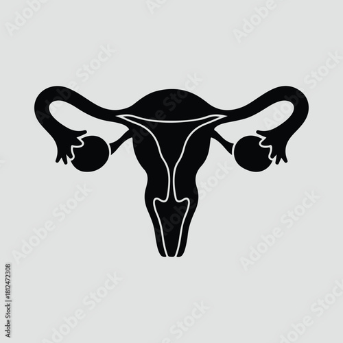 Silhouette uterus fallopian tubes and ovaries female reproductive system vector illustration