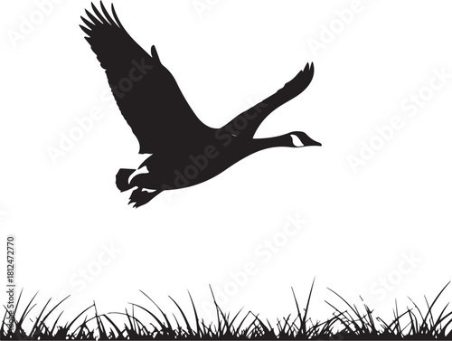 Black silhouette of a Canada goose flying over grass