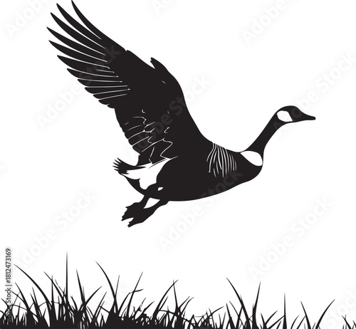 Black silhouette of a Canada goose in flight over grass