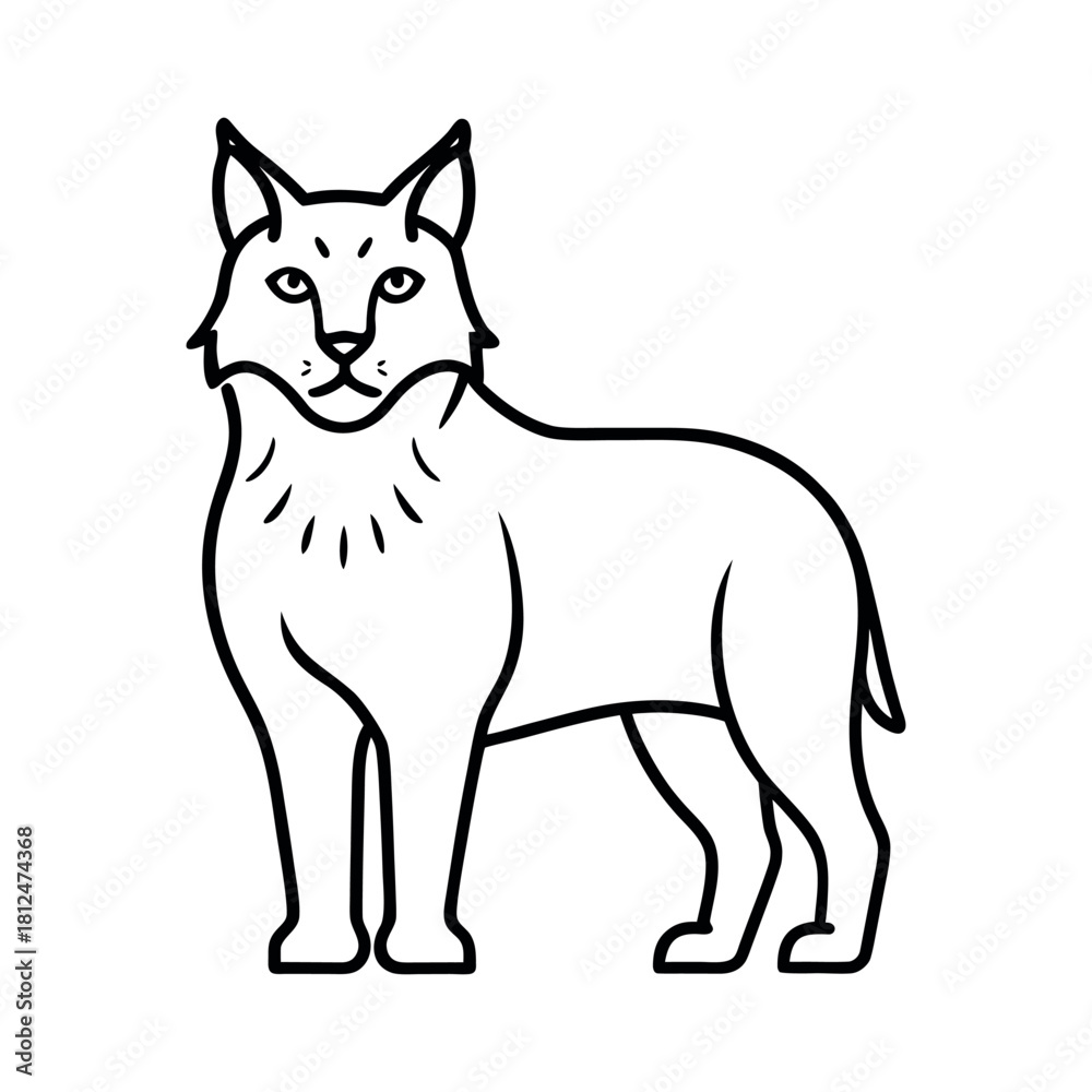Fototapeta premium Lynx Outline Line Art Vector Illustration