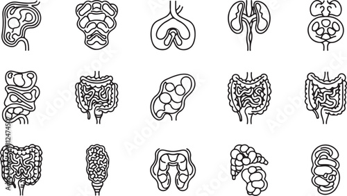 Collection of Stylized Black and White Icons Representing Human Organs