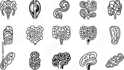 Collection of stylized icons representing human digestive system organs and cells