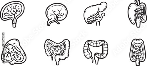 Collection of Stylized Human Organ Icons in Black and White