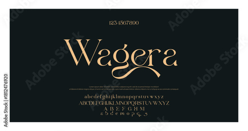 Luxury font alphabet logo. Typography beauty fashion elegant minimalist serif italic fonts decorative wedding vintage retro logos. vector illustration.