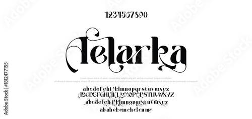Elegant Font Uppercase Lowercase and Number. Classic Lettering Minimal Fashion Designs. Typography modern serif fonts regular decorative vintage concept. vector illustration