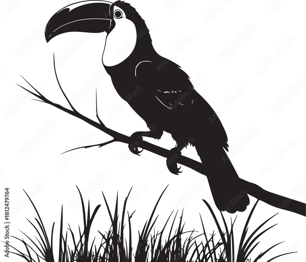 Obraz premium Black silhouette toucan perched on branch above grass