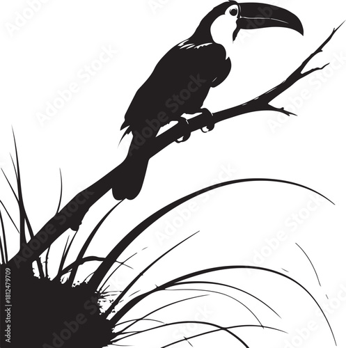 Black silhouette toucan perched on a branch with grass