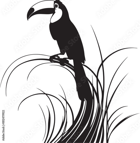 Black silhouette toucan perched on grass bird black and white