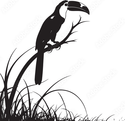 Black silhouette toucan bird perched on a branch with grass